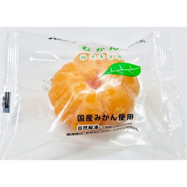 九州の宝物