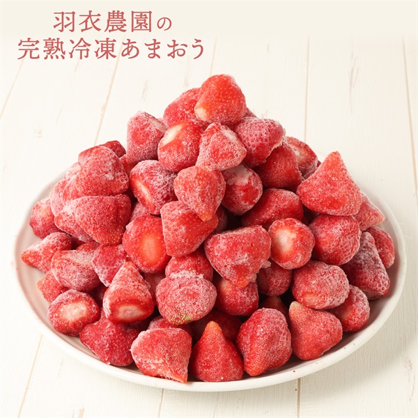 九州の宝物