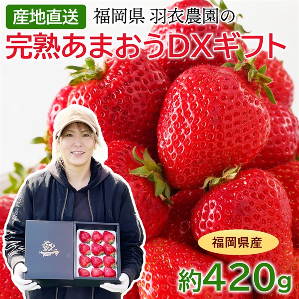 九州の宝物