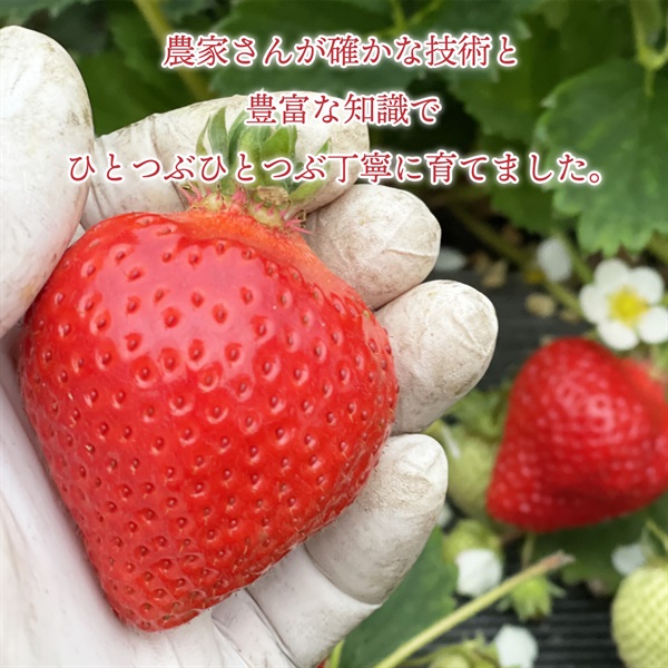 九州の宝物