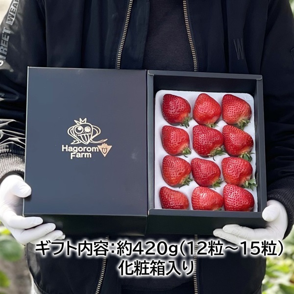 九州の宝物