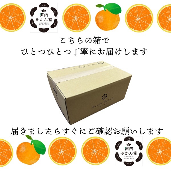 熊本県産 福岡県産 みかん40kg Amazon.co.jp: 夢未来 みかん 熊本県産 夢未来みかん 4kg サイズ